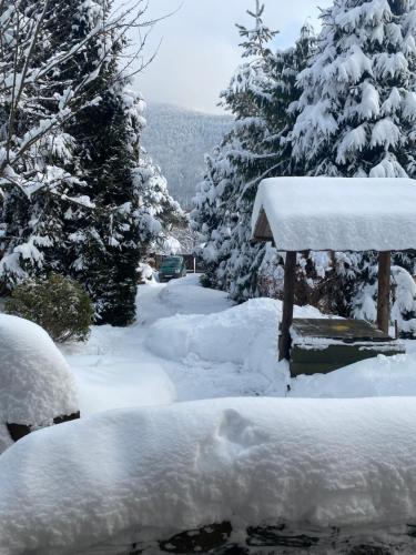 un patio cubierto de nieve con árboles en el fondo en садиба "У Чубчика", en Yaremche