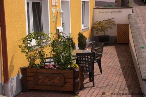 eine Terrasse mit 2 Stühlen und einem Tisch mit Pflanzen in der Unterkunft Sonnigesüdeifel in Seffern