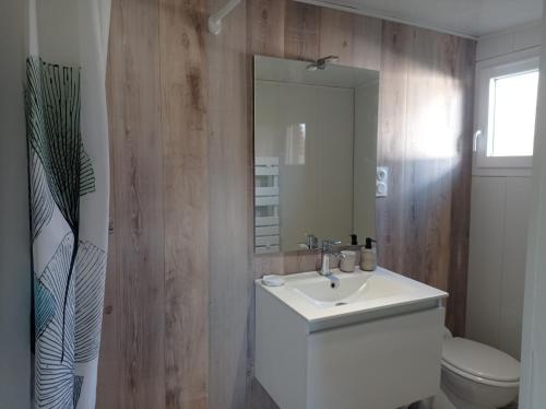 a bathroom with a sink and a toilet and a mirror at L alouette in Égletons