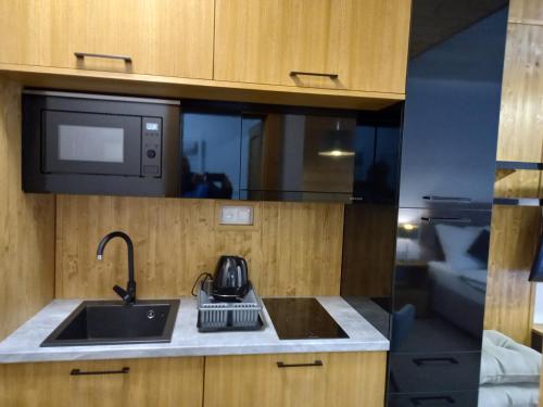 a kitchen with a sink and a microwave at Apartmány Tatry Žiarce in Liptovský Mikuláš