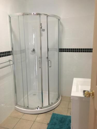a glass shower in a bathroom with a sink at Muswellbrook Northside Bed & Breakfast in Muswellbrook