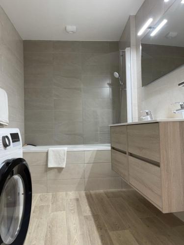 une salle de bain avec un lavabo et une machine à laver dans l'établissement Gîte Louise de la Maison saint-Josse, à Colmar