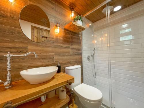 a bathroom with a sink and a toilet and a mirror at Mountain Eco Shelters in Funchal