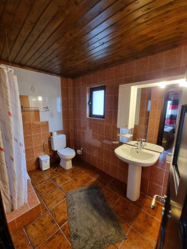 une salle de bain avec un lavabo, des toilettes et un miroir dans l'établissement CHALET ELATI, à Vitina