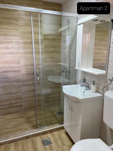 a bathroom with a shower and a toilet and a sink at Apartmani Jarevac in Bajina Bašta