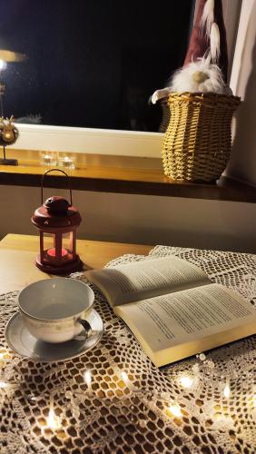 a book and a plate on a table with a lamp at Chopina 6 na zielonym wzgórzu in Jedlina-Zdrój