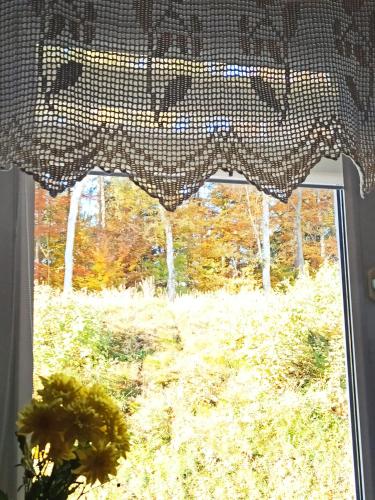 a window with a checkered curtain in a room at Chopina 6 na zielonym wzgórzu in Jedlina-Zdrój