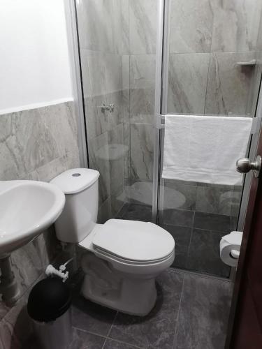 a bathroom with a toilet and a shower and a sink at Finca Hotel La Vida es un Paseo in San Carlos