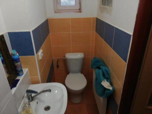 a bathroom with a toilet and a sink at Slapská přehrada Radíč in Sedlčany