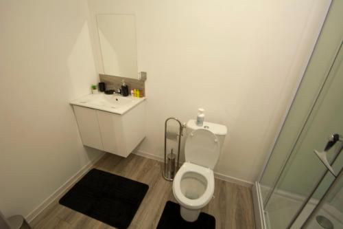 Un baño pequeño con inodoro y lavabo. en EMYSTA - CHARMANT Studio HOME STAGING en plein centre, en Saint-Quentin
