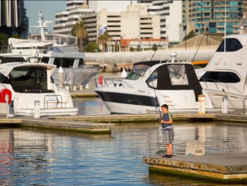 a young boy standing on a dock holding a fishing rod at Lovely waterfront condo with swimming pool and gym in the heart of Docklands in Melbourne