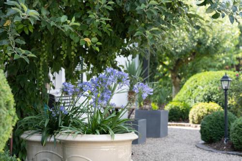 a large pot of flowers in a garden at Wein und Landhaus Kallfels in Kröv