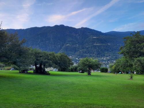 a green field with trees and mountains in the background at Appartement am Ossiachersee in Villach