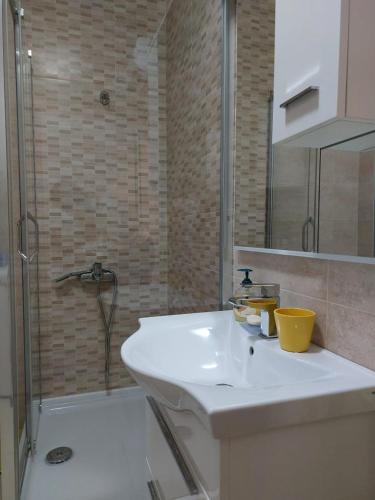 a bathroom with a white sink and a shower at Guest house Vlahovic in Kolašin