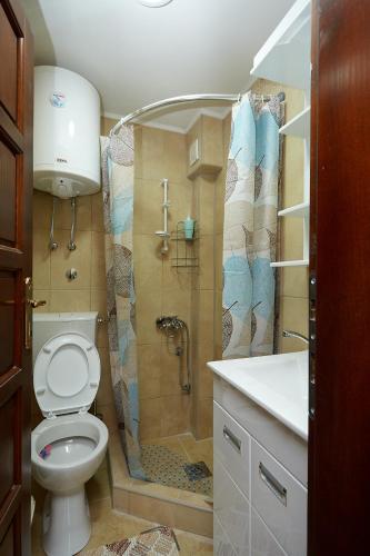 a bathroom with a toilet and a shower and a sink at Apartmani ,,Vasa ,, 3 in Soko Banja