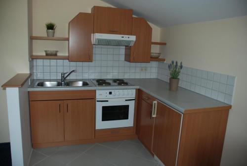 a kitchen with wooden cabinets and a sink at Landhaus Brieger in Henndorf am Wallersee