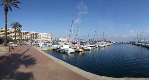 a group of boats docked in a marina at Agréable studio bord de mer in Saint-Cyprien