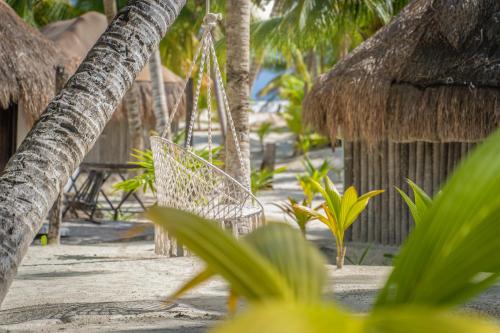 Alito Tulum Hotel en Tulum
