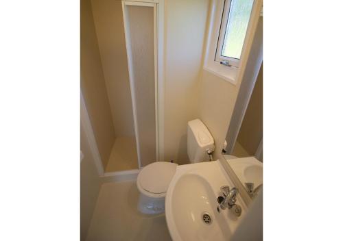 a small bathroom with a toilet and a sink at Chaletparc Krabbenkreek Zeeland - Chalet 154 in Sint Annaland