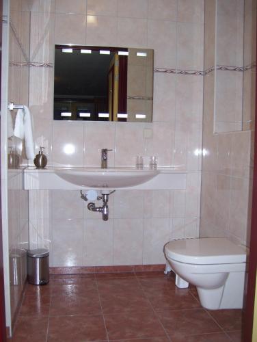a bathroom with a sink and a toilet at Hoeve Meerzicht in Monnickendam
