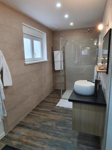 a bathroom with a sink and a shower at Suite Romantique in Hésingue