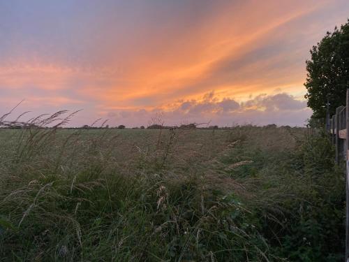 a field of tall grass with a sunset in the background at Old Chapel Forge in Chichester