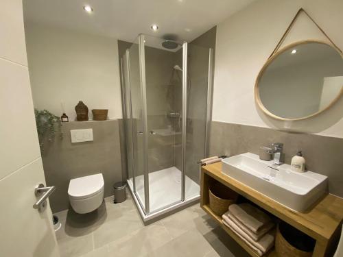 a bathroom with a shower and a sink and a toilet at Spatzennest am Taubenhaus Residenz Moselliebe in Traben-Trarbach