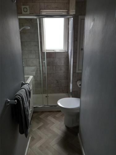 a bathroom with a shower and a toilet and a window at 50 New Esplanade Court in Paignton