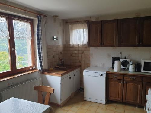 a kitchen with a sink and a white refrigerator at le gutty - maison de vacances in Natzwiller
