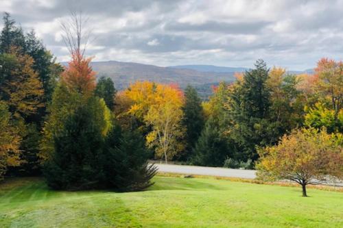 a green field with trees and a road at Campton White Mountains Retreat in Campton