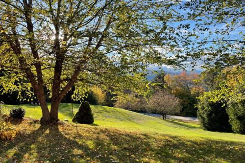 a tree in the middle of a green field at Campton White Mountains Retreat in Campton