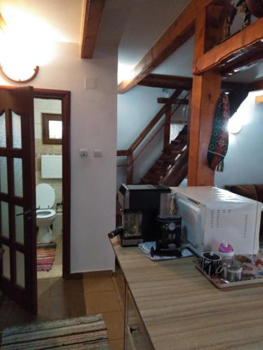 eine Küche mit Theke und Mikrowelle in der Unterkunft Cabana Ollie Retezat in Rîu Bărbat