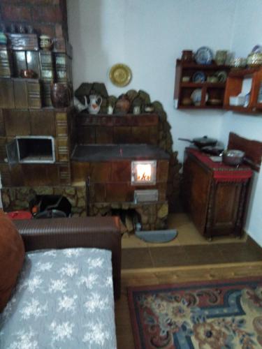 Dapur atau dapur kecil di Cabana Ollie Retezat