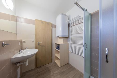 a bathroom with a sink and a shower at Apartmán Sophia 4 s terasou in Velké Losiny