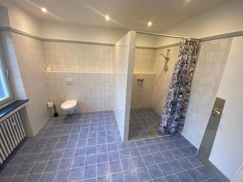 een badkamer met een douche en een toilet. bij Waldhaus Kustelberg in Medebach