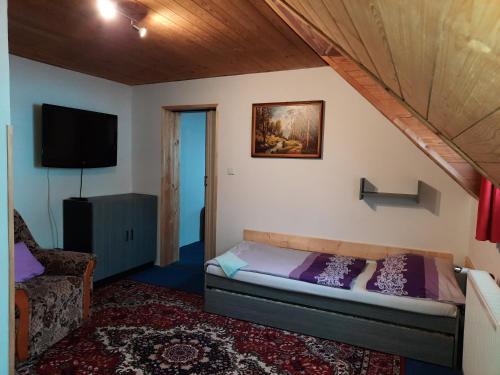 a small room with a bed and a tv at Pension Lípa in Horní Maršov