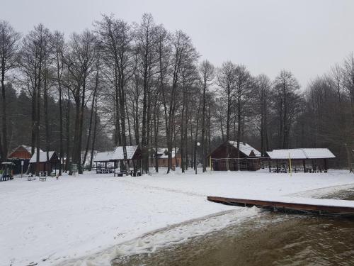 a snow covered field with a group of buildings and trees at Łap Las Pelnik in Pelnik