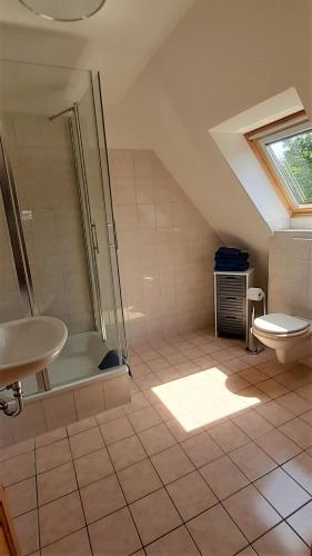 a bathroom with a shower and a toilet and a sink at Ferienwohnung Alter Fischerhof in Malchow