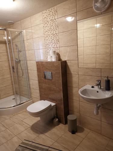 a bathroom with a toilet and a sink and a shower at Pokoje gościnne Pod Limbami in Male Ciche