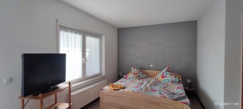 a bedroom with a bed and a flat screen tv at Pension und Ferienwohnung Walther in Storkow