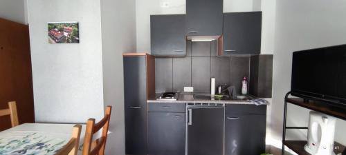 una pequeña cocina con electrodomésticos de acero inoxidable y una mesa en Pension und Ferienwohnung Walther, en Storkow