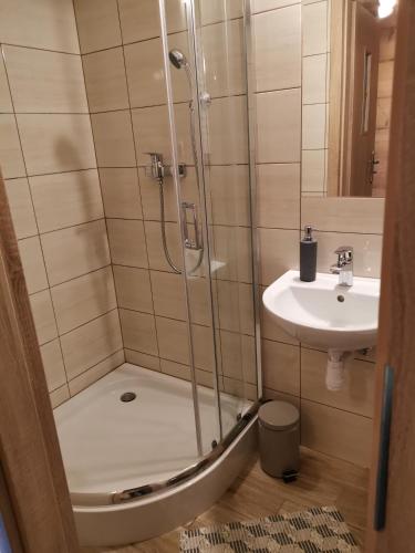 a bathroom with a shower and a sink at Pokoje gościnne Pod Limbami in Male Ciche