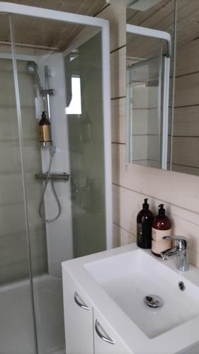 a bathroom with a white sink and a shower at Loma Luonnonlapsi Loimu-mökki in Sotkamo
