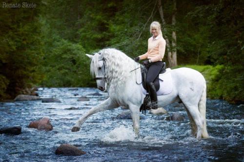 Afbeelding uit fotogalerij van Poeme A SANDEFJORD in Kodal