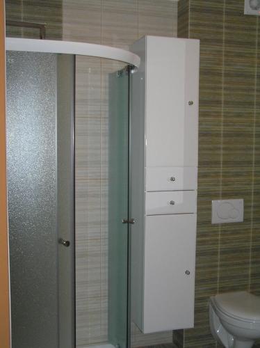 a bathroom with a toilet and a glass shower at U Fousáče in Hrabětice