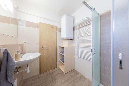 ein Bad mit einem Waschbecken und einer Dusche in der Unterkunft Apartmán Sophia 3 in Velké Losiny