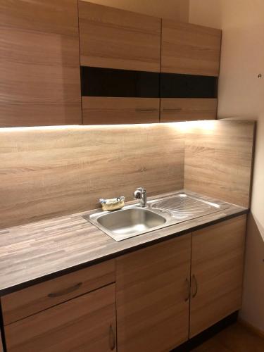 a kitchen with a sink and wooden cabinets at Apartmány Diana in Lužice