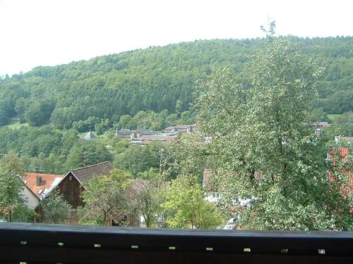 a view of a town with a mountain in the background at Ferienwohnung Hergenröder in Riedenberg