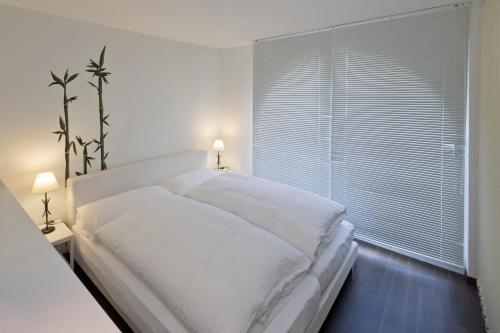 Casa Collinetta 2