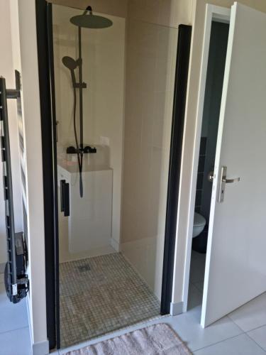 a shower with a glass door in a bathroom at Albizia bis in Pintheville